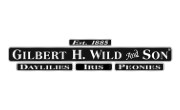gilbert